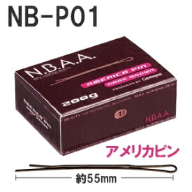 NBAA アメリカピン NB-P01