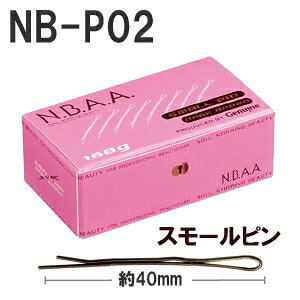 NBAA X[s NB-P02