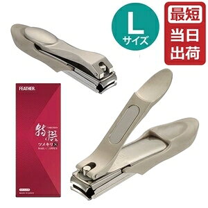 y[ztFU[ cL Lij tFU[S䓁 XeXn { lC ܐ؂ TN-LH