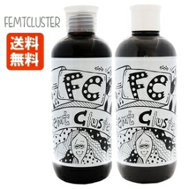 FC カラーキープシャンプー + カラーキープトリートメント コアブラック 250ml セット フェムトクラスター 送料無料 Femt Cluster