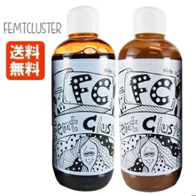 FC カラーキープシャンプー + カラーキープトリートメント プラチナベージュブラウン 250ml セット フェムトクラスター 送料無料 Femt Cluster