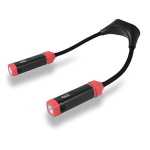 GENTOS(WFgX) OnezV[Y tbVCg ő200[ [d OZ-R2X