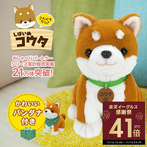 yӍՃ|CgAbvI`11/16 23:59zyo_itzɂI ΂ʃRE^ ׂRE^ ׂʂ {bg  Č ʂ ybg ׂ 