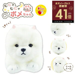 ނɂނɂ񂱃| ZT[  ʂ l`    ʂ |jA  񂿂  ybg IXg p10