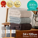【3点購入300円OFFクーポン！】カンブリア宮殿 で紹介！正規品 エアーかおる エクスタシー エニータイム バスタオル 34×120cm リニューアル おぼろタオル 浅野撚糸 日本製 国産 ふんわり 柔らかい 速乾 ギフト 送料無料 p20