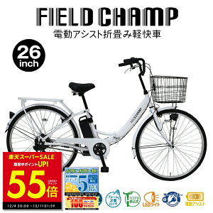 dAVXg] ܂肽 ܂ 26C` FIELD CHAMP tB[h`v MG-FCP100EB ~S ] LEDCg RpNg TS}[N VjA  w  K S t [J