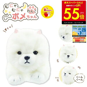 y撅30%OFFN[|!! 12/4 20:00`zނɂނɂ񂱃| ZT[  ʂ l`    ʂ |jA  񂿂  ybg IXg p10