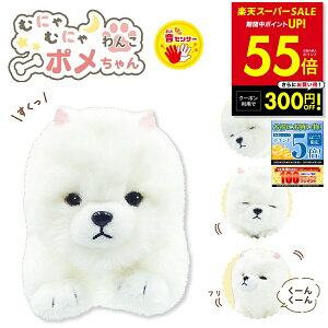 yPő55{&N[|!! `12/11 1:59zނɂނɂ񂱃| ZT[  ʂ l`    ʂ |jA  񂿂  ybg IXg p10