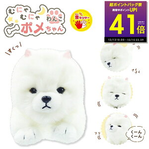 �y���|�C���g�o�b�N�Ձ�P�A�b�v!!�`12/15 23:59�z�ނɂ�ނɂ��񂱃|������� ���Z���T�[ ���� �ʂ������ �l�` ���� ���� �� �ʂ������ �|�����j�A�� �������� ��񂿂�� ��� �y�b�g 