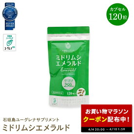【クーポン配布中★4/4 20:00〜】ユーグレナ ミドリムシ ミドリムシエメラルド サプリメント 120粒入 増量 ミドリムシ専科 サプリ コエンザイムQ10 葉酸 ユーグレナ250mg含有 乳酸菌 数々のメディアで紹介 送料無料
