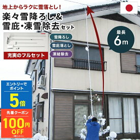 多機能 雪降ろし & 雪庇落とし & 凍雪除去用ヘラセット 6m 日本製 角度調節付 雪かき 雪下ろし 雪落とし 除雪 雪対策 簡単 楽々 送料無料 屋根 雪おろし 雪下ろし棒 ロング 最大約6m 4段階 長さ調整 アルミ製 カーポート 車庫 玄関まわり