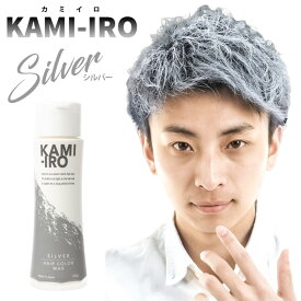 ヘアワックス カラーワックス シルバーアッシュ シルバーワックス KAMI-IRO カミイロ 単品 選べる 2本セット 3本セット 銀髪 白髪 ロマンスグレー ヘアカラー ワックス イメチェン スタイリング 整髪料 送料無料 父の日