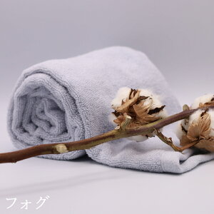 킽̂͂ No2 V[gpC ɑ ̖  z^I oX^I tFCX^I ^I  Mtg ӂӂ Q 100 Q X[p[[ AC{[ TbNX tHO