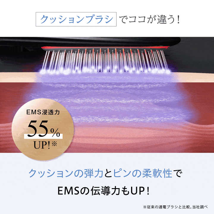 新品プロフェッショナルブラシセット 楽天市場】王様のブランチ で紹介！ 【正規品】WAVEWAVE EMS