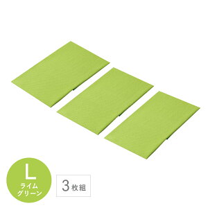 eCW ӂ LTCY 33×50cm  ӂ 唻 z NX H@ | ݂  1 2 3 Zbg | G  Lb`NX H@ @  