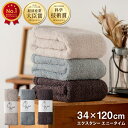 【感謝祭ポイントアップ！〜11/16 23:59】カンブリア宮殿 で紹介！正規品 エアーかおる エクスタシー エニータイム バスタオル 34×120cm リニューアル おぼろタオル 浅野撚糸 日本製 国産 ふんわり 柔らかい 速乾 ギフト 送料無料 p20