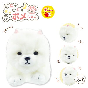 yPő48{&N[|!! `11/27 1:59zނɂނɂ񂱃| ZT[  ʂ l`    ʂ |jA  񂿂  ybg IXg p10