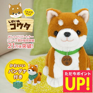 yo_itzɂI ΂ʃRE^ ׂRE^ ׂʂ {bg  Č ʂ ybg ׂ ׂʂ  F l`  