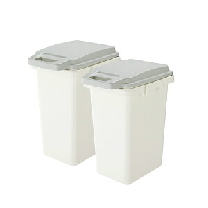ゴミ箱 ふた付き 47リットル 47L におい漏れ防止 臭い漏れ ペール 防汚加工 パッキン付き 大容量 赤ちゃん おむつ 生ごみ ロック付き ダストボックス RSD-75GY RSD-75WH