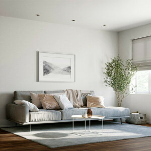 y12܂łȂ瑦o׉z1mP ǎ TQc ̂Ȃ D SP SP2529 SP9752  zCg ItzCg ʎY