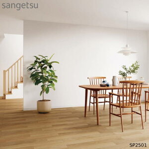 y12܂łȂ瑦o׉zNEWI1mP ǎ TQc ̂Ȃ D SP SP2501  ʎY V Vz tH[ rO Q