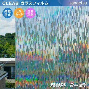 y12܂łȂ瑦o׉z10cmP GF1875 TQc KXtB p CLEAS NAX I[ Aurora GtFNg