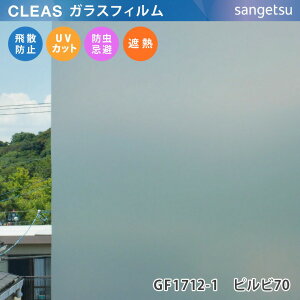 y12܂łȂ瑦o׉z10cmP KXtB KX GF1712-1 p sr70 TQc }bgtXg X[N CLEAS NAX