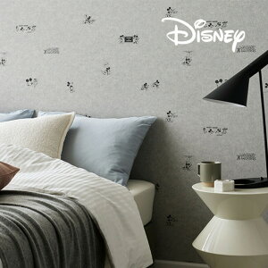 y12܂łȂ瑦o׉z1mP NEW!! fBYj[ ǎ TQc FE76680 NX O[ RN[g ^  lC ̂Ȃ Disney  CeA q Q DIY sangetsu FINE 