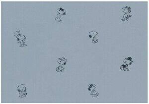y12܂łȂ瑦o׉z1mP ǎ TQc ̂Ȃ FE76712 FE76713 Xk[s[ SNOOPY PEANUTS