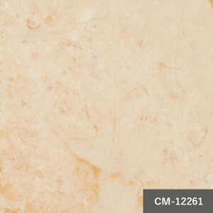 y12܂łȂ瑦o׉zؖڕ NbVtA |e`[m CM-12260 CM-12261 10cmP TQc Xܗp yOK i`ؖ Xg[ ^C  CF V[g X yOK tA