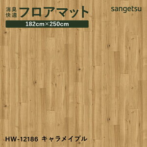 y12܂łȂ瑦o׉zLKtA}bg 250×180cm 2.3mm L R  ώf_ Ǝdグ 20F ؖڕ Xg[ p^[ TQc  xbh rO Q H