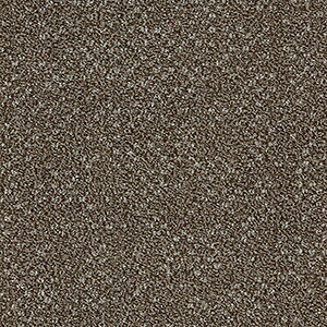 ���� �^�C���J�[�y�b�g GA-100T �u���C�g�v���[�� 50×50cm 6�F �嗱���[�v GA10232T GA10233T GA10234T GA10235T GA10236T GA10228T