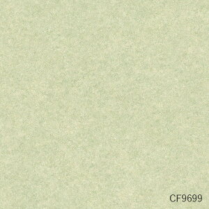 NbVtA v[ ^ zCg sN u[ O[ x[W O[  10cmP p[  gC CF-H CFV[g