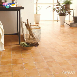 NbVtA eRb^ CF9680  10cmP tAV[g lC ^C