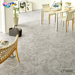 NbVtA CF9668  10cmP O[}[u Ζ 嗝Ε CF-H tAV[g O[