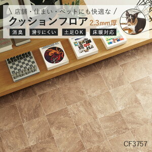 yΉ NbVtA CF3757 X[g^C  10cmP Ζڕ ybgΉ L h |ȒP vŒ R CFV[g-P   X  Ζ iCF3562