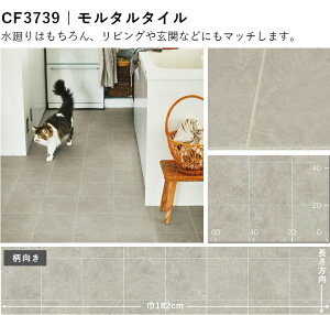 ybgΉ @\ A 2.3mm X/ZpNbVtAZNV  10cmP Ζڕ yOK L h |ȒP vŒ ϋv R CFV[g-P    X 