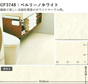 ybgΉ @\ A 2.3mm X/ZpNbVtAZNV  10cmP Ζڕ yOK L h |ȒP vŒ ϋv R CFV[g-P    X 