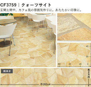 �y�b�g�Ή� ���@�\ �����A�� 2.3mm�� �X��/�Z��p�N�b�V�����t���A�Z���N�V���� ���� 10cm�P�� �Ζڕ� �y��OK ���L �h�� ���|���ȒP ��v�Œ����� ���ϋv �R�� CF�V�[�g-P ���� ���� ����� �X�� 