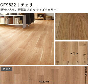 6p NbVtA  lC14iԂIׂ ؖ 嗝 ^ ]ˊ6̍L(2.61m×3.48m) tA}bg NbV}bg tAV[g m a rO _CjO 6 