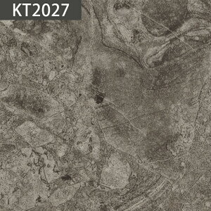 y12܂łȂ瑦o׉ztA^C TQc 1Pʂł̔̔ ObT`Fb| WF KT-2026 KT-2027 KT-2028 Ζ Ζڒ 嗝 Xg[ bNXt[   lC ȒP 