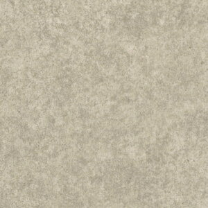 y12܂łȂ瑦o׉zNEW!NbVtA J LH81503 LH81504 v[^ Ζڕ 10cmP CF tA}bg tAV[g NbV}bg NbVV[g O[ R