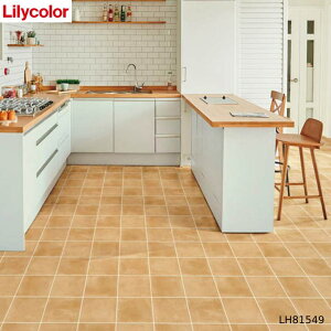 y12܂łȂ瑦o׉zNbVtA J LH81549 eRb^ ^C 10cmP CF tA}bg tAV[g NbV}bg NbVV[g uE Zp  DIY Lily