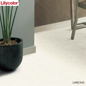 y12܂łȂ瑦o׉zNbVtA J LH81541 rARJ 嗝Ε 10cmP CF tA}bg tAV[g NbV}bg NbVV[g zCg  Zp 