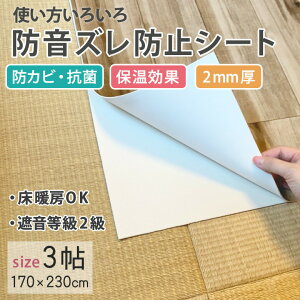 hYh~V[g 3p 170×230cm 2mm hJr R ۉ ȃGl Չ2 g[Ή zbg J[ybg O }bg NbVtA  a m qǂ }V Ap[