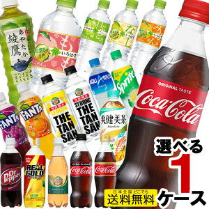 RJER[ 500ml PET 600mlybg 1P[X×24{  RJR[ ANGAX t@^ u  [   Y_ ͂ Β Ji_hC  50y