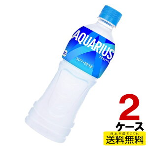 ANGAX 500mlPET 24{×2P[X v48{  RJER[В RJR[ cc4902102069366-2ca