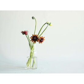 フラワーベース 花器 花瓶 フラワーアレンジメント 花用 花 アレンジメント用品 資材 Tomボトルベースφ7.5(5.5)xH18 ブランド fs2600066 ホワイエ