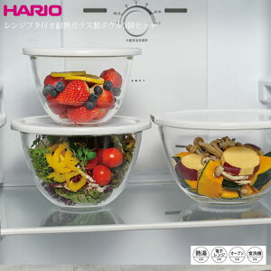 nI HARIO ϔM{[Zbg Wt^tϔMKX{E3Zbg {E ϔMKX W ۑe T_{E  W H M I[u { apimxpf-4904-w