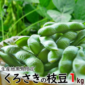 【送料無料】甘味抜群 朝採り 枝豆 A級品 新潟くろさき産 1kg「黒埼枝豆」朝どり枝豆 生【クール便】黒埼 茶豆 黒崎 くろさき　えだ豆